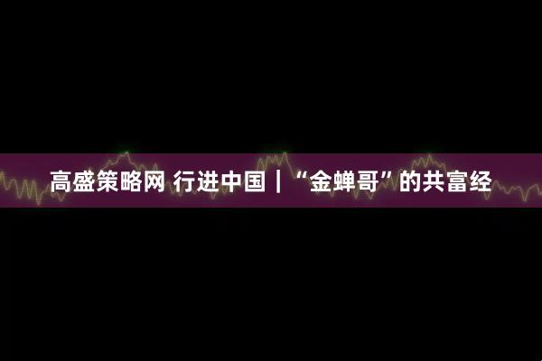 高盛策略网 行进中国｜“金蝉哥”的共富经